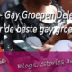 GayTalk Gay Groepen Delen, deel hier de beste gay groepen